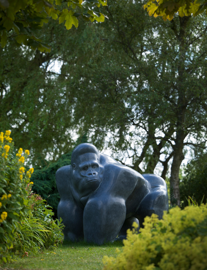 Gorilla – Kilkenny Limestone
