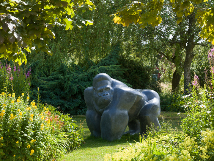 Gorilla – Kilkenny Limestone
